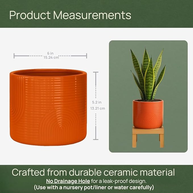 6 Inch Ceramic Plant Pot – Indoor & Outdoor Flower Planter for Succulents, Herbs & Small Plants – Thick-Walled Modern Design – Terracotta