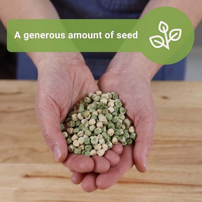 Sow Right Seeds - Bulk Sugar Snap Pea Seeds for Planting - 2 Ounce, 225 Seeds - Non-GMO Heirloom Jumbo Pack with Instructions to Plant a Home Vegetable Garden - Enjoy a Cool Season Bountiful Harvest