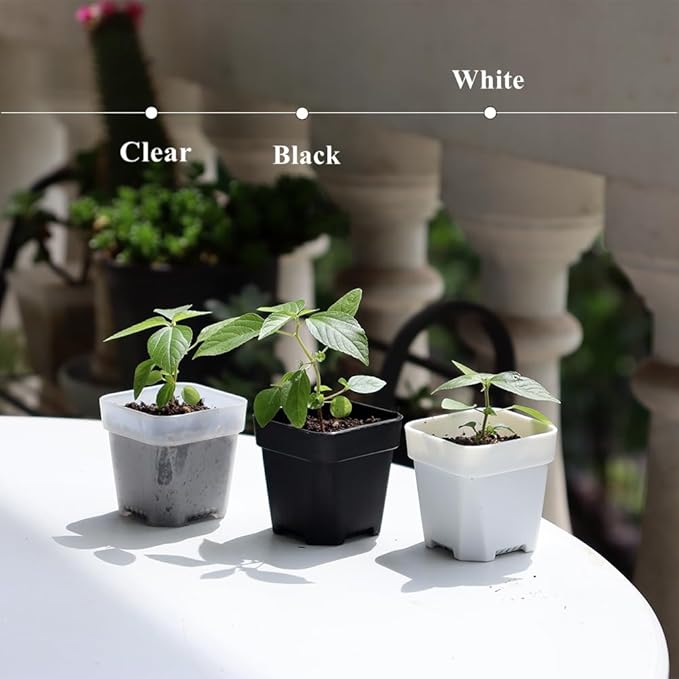 BangQiao 200 Pack 1.95 Inch Tiny White Plastic Square Nursery and Seedling Pot, Mini Transplant Seed Starter Planter with Drain Hole for Germination, Herb, Succulent
