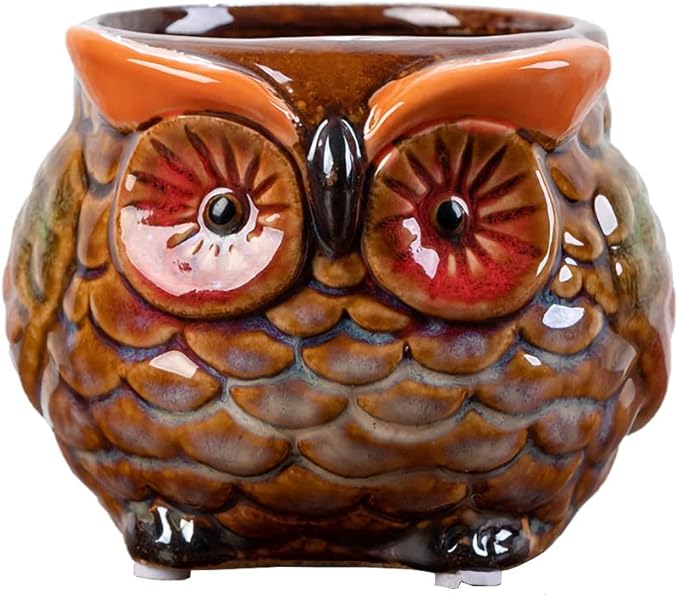 WAIT FLY Cute Animal Ceramic Flower Pot Succulent Planter-Owl