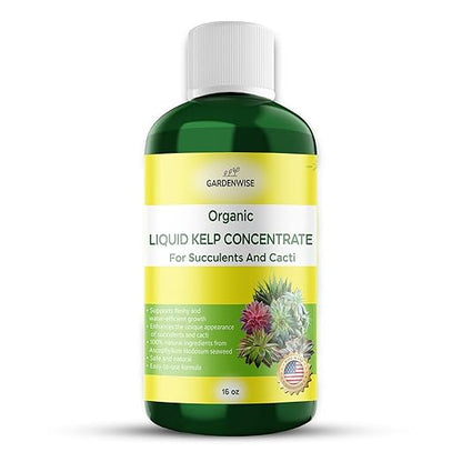 Organic Kelp Seaweed Fertilizer: Premium Succulent and Cactus Food - Indoor Plant Nutrition with Root Booster, Ideal for Christmas Cactus, Dragon Fruit, and Potted Plants (16 OZ)