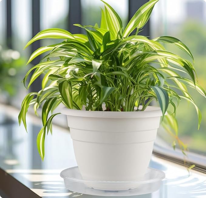 15 Inch Plant Saucers,5 Pack Clear Plastic Plant Trays,Thick Heavy Duty Pot Drip Trays for Indoor Outdoor Large Flower Pots,Transparent Plant Water Saucers
