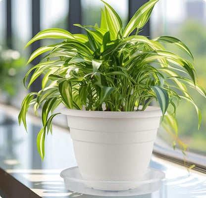 15 Inch Plant Saucers,5 Pack Clear Plastic Plant Trays,Thick Heavy Duty Pot Drip Trays for Indoor Outdoor Large Flower Pots,Transparent Plant Water Saucers