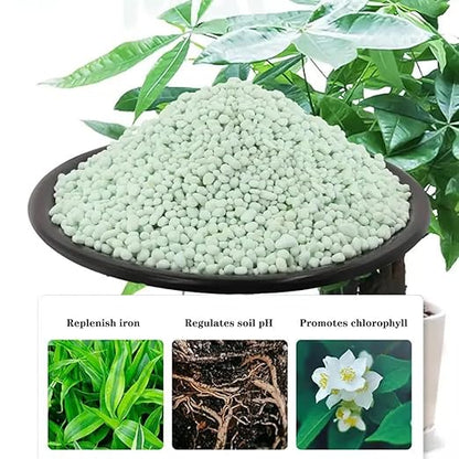 GRANDAN Ferrous Sulfate Heptahydrate - 3/16 Inch FeSO4*7H2O Granules - 20% Iron (Fe) Stable and Easy to Store - Organic Lawn Fertilizer for Vegetables and Plant Growth (8 Oz)