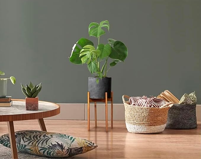 Fox & Fern Mid Century Tall Plant Stand — 10 Inch Fixed Size Raised Wooden Plant Stand for Indoor Planters (Not Included); Modern Flower Pot Holder with Plug In Design; Easy to Assemble - Acacia
