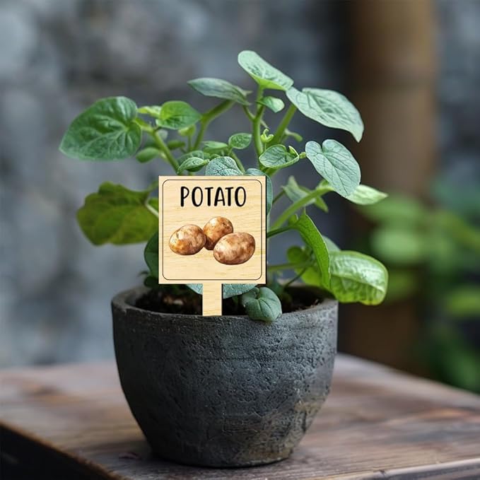 arricraft 15 Pcs Watercolor Vegetable Plant Labels, Wooden Markers T Type Tags Garden Labels with Printed Pattern Wood Garden Stakes for Indoor and Outdoor Potted Vegetable Seed