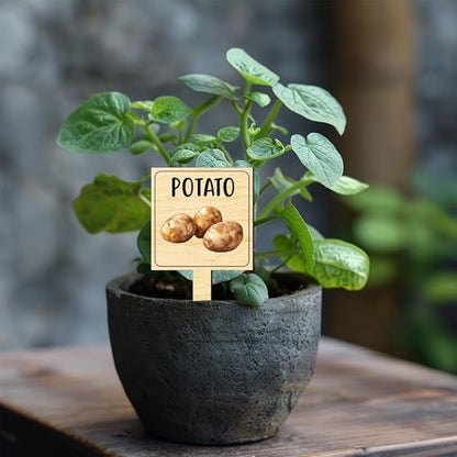 arricraft 15 Pcs Watercolor Vegetable Plant Labels, Wooden Markers T Type Tags Garden Labels with Printed Pattern Wood Garden Stakes for Indoor and Outdoor Potted Vegetable Seed
