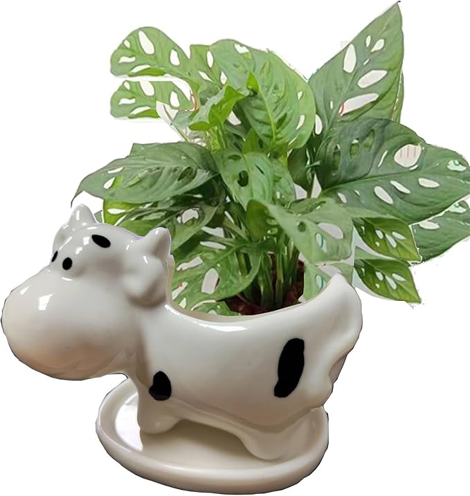 Ceramic Succulent Plant Pot Cactus Plant Pot Flower Pot Container Planter with Drainage Hole Home Office Desk Garden Gift Idea Animal Shaped Flower Pot Cute Vase Pot (White Cow)