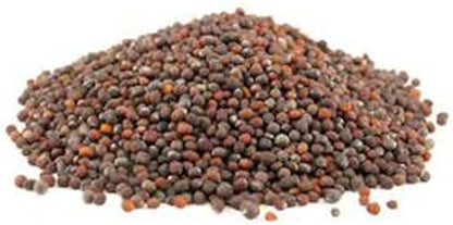Non-GMO Broccoli Seeds for Sprouting Sprouts Microgreens (2 Ounces of Pure Seed). Country Creek LLC. Brand.