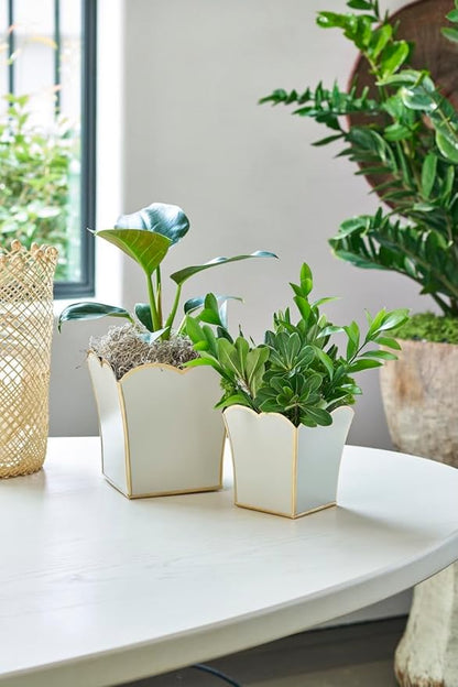 Jaye's Studio Decorative Square Cachepot Flower Pot, House Plant Pot Indoor, Modern Scalloped Planter, Boho Planter, Metal Pot - Floor, Tabletop, Porch & Window Planter for House Decor (White, 6")