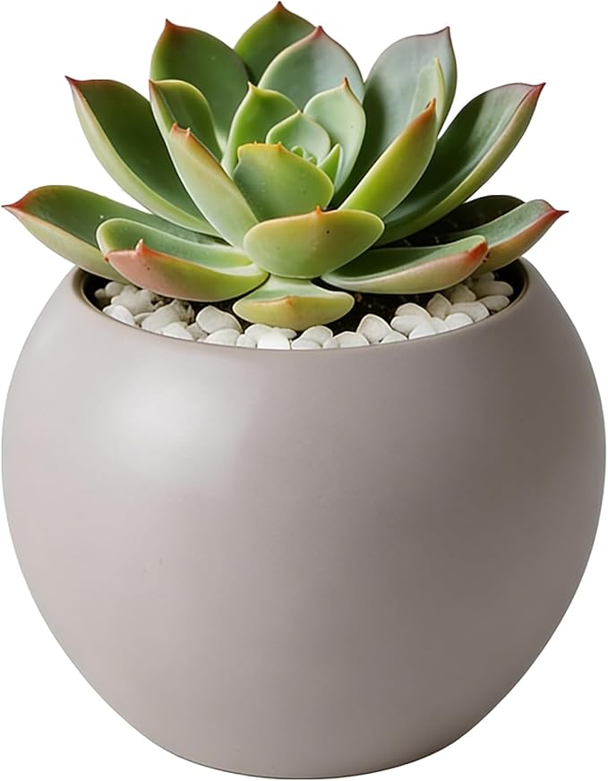 Light Gray Spherical Ceramic Plant Pots Succulent Small Planter Indoor Modern Decorative Indoor-Outdoor Garden Plant Pots with Drainage Holes - Plants Not Included 3.94 x 3.94 x 3.15 Inch