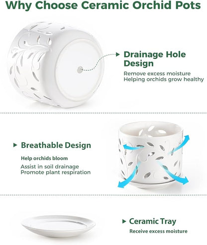 EFISPSS Orchid Pot with Holes, 5+6Inch Ceramic Plant Pots with Drainage Holes and Tray, Promoting Air Circulation and Drainage, Indoor/Outdoor White Flower Pots