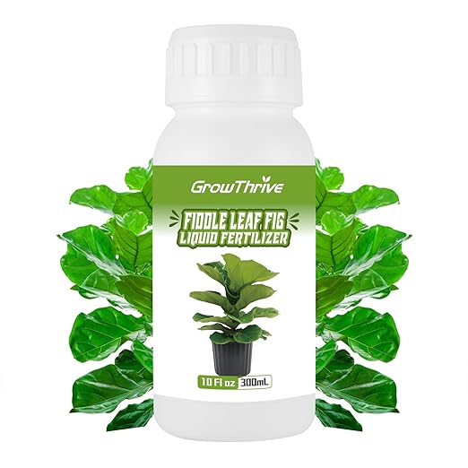 10oz Fiddle Leaf Fig Plant Food for All Fig and Other Ficus Trees, Liquid Houseplant Fertilizer for Ficus Plants, Ideal Fiddle Leaf Fertilizer, Ficus Plant Food for Improves Leaves and Branches