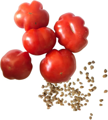 Smoke Camp Crafts Mini Wrinkles Cherry Tomato (Solanum lycopersicum) 150 Organic Seeds (0.5 gram) - Pleated Cherry Tomato