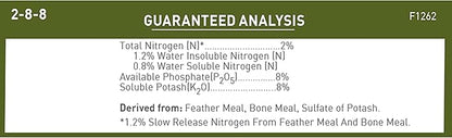 Jobe's Organics Succulent Fertilizer Spikes, Easy Plant Care for Succulent, Cactus, and Aloe Vera Plants, 12 Count
