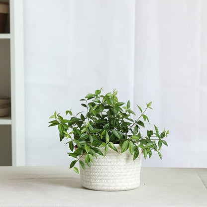 Indoor Hanging Flower Pot Basket,Party Wedding Home Garden Hanging Planter, Waterproof Lining Hydroponic Plant Pot-Glitter White