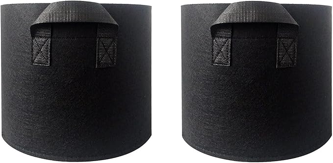 2 pcs 10 Gallons Nonwoven Plant Grow Bags with Handles, Heavy Duty and Best air permeablity for Flowers, Fruit Trees, Vegetables, Garden Plants