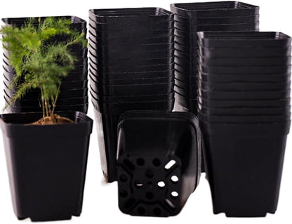 150 Packs Square Nursery Pots for Plants 2.8 Inch Succulent Plant Pots Set Plastic Seedling Starting Pots with Drainage Holes Nursery Pots Variety Pack Flower pots Planter Seed Starter, Black