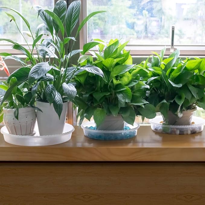 MUDEELA 6 Pack of 14 Inches Plant Saucers for Indoor, Durable Plastic Round Plant Tray Plant Dish Pant Plate to Catch Water for Flower and Plant Pot, Thicker, Stronger, Deeper, Clear