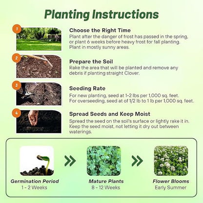 Outsidepride Perennial White Dutch Clover Seed - 10 lbs. Nitrocoated, Inoculated Clover Seeds for Lawn Alternative, Erosion Control, Food Plots, Ground Cover, & Pasture Mixtures in USDA Zones 3-10