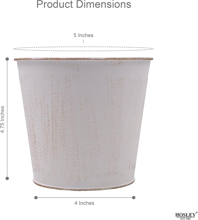 Hosley Set of 3 White Wash Finish Bucket/Pots with PVC Liner, 5" Dia x 4.75" H Ideal Gift for Floral Arrangements Wedding Home Office Party DIY Indoor Outdoor Garden Patio