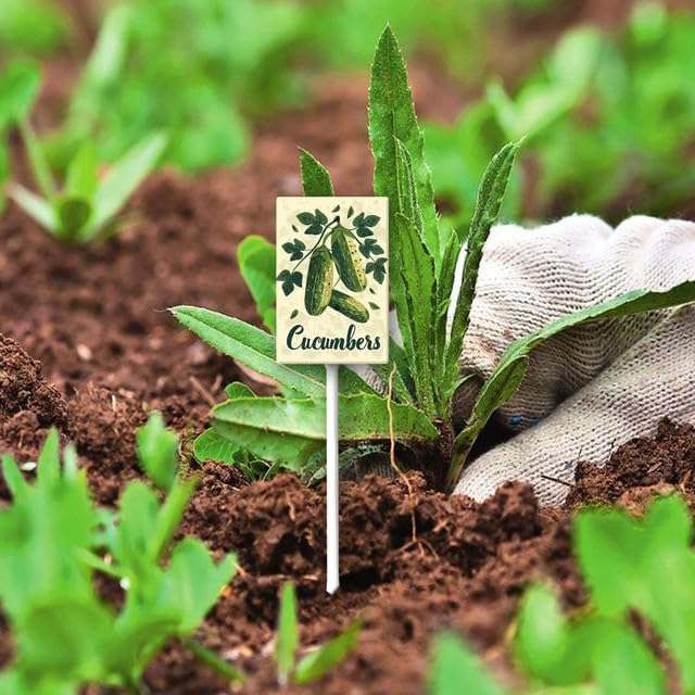 Uptell Vintage Vegetable Signs for Garden with Stake Cucumber Yard Sign Vegetable Garden Label Stakes Plant Markers for Outdoor Plants Waterproof 8.8x7inch