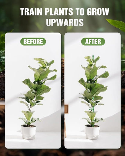 Joyhalo 30 Pack Plant Stakes for Indoor Plants, 16 Inch Garden Stakes, Adjustable Plant Support Sticks for Tall Plants As Tomatoes Beans Orchid Vegetable