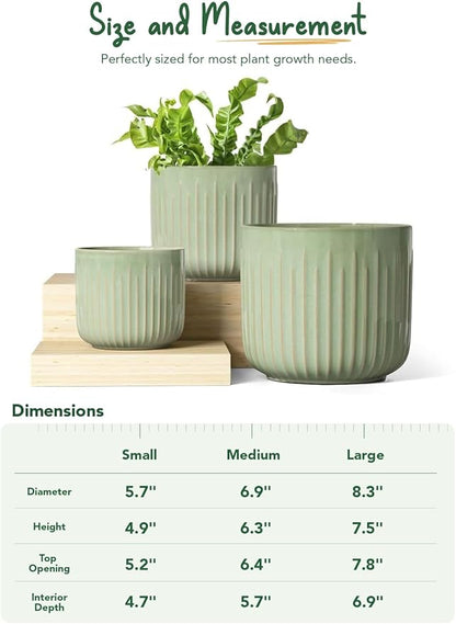 LE TAUCI Fluted Ceramic Pots for Plants, 8.3/7/6 Inch Indoor Planters with Drainage Holes & Mesh, Modern Glossy Glaze Cylinder Plant Pot for Snake Plant, Set of 3, Sage Green