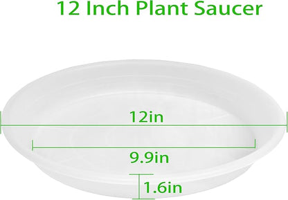2 Pack of Clear Plant Saucer 12 inch, Clear Plastic Plant Drip Trays, Heavy Duty Plant Trays for Indoors no Holes, Plant Water Tray for Planters