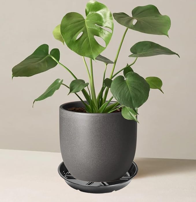 6 Pack of 8 Inches Plant Saucers for Indoor, Durable Plant Saucer Pot Tray, Round Plastic Flower Plant Dish Pant Plate to Catch Water, Black
