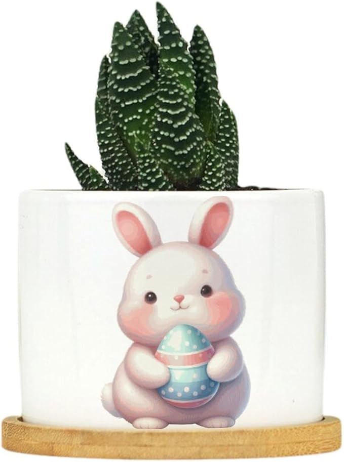 DreamAutumn Easter Bunny Rabbit Ceramic Planters Ceramic Pots with Saucers Orchid Pots for Plants Succulents Pots Office Desk Garden Balconys New Home Decor,Gifts for Mom Mother Grandmother