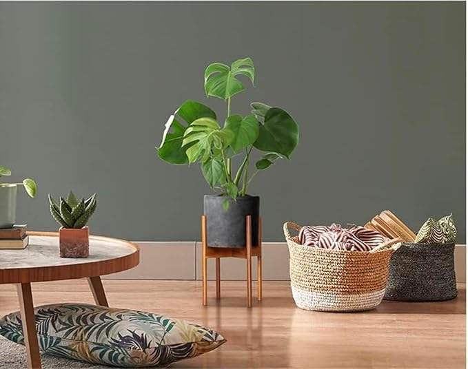 Fox & Fern Mid Century Plant Stand — 10 Inch Fixed Size Wooden Plant Stand for Indoor Planters (Not Included) - Raised Flower Pot Holder for Indoors - Plug In Design - Two Height Options - Acacia