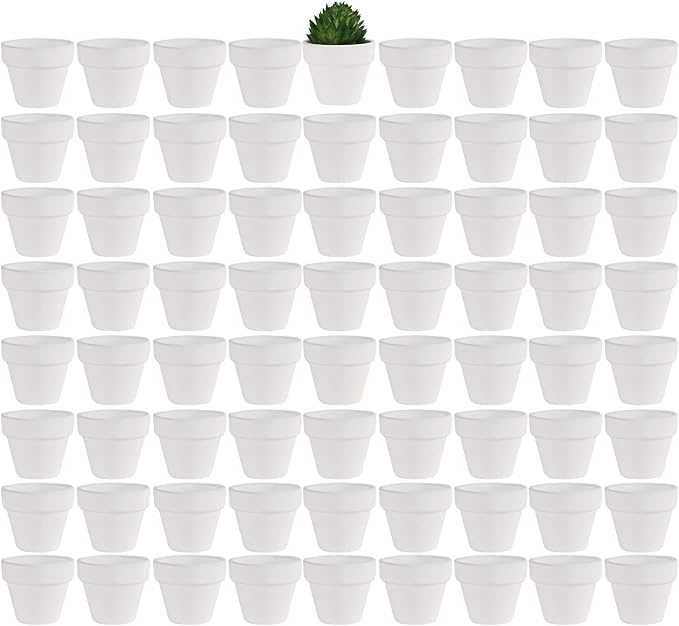 Yishang 1.9 Inch Tiny White Terracotta Pots Pack of 72-Small Mini White Clay Pots with Drainage Holes Flower Nursery Terra Cotta Planter for Tiny Cactus,Herb,Succulent Plants,Crafts
