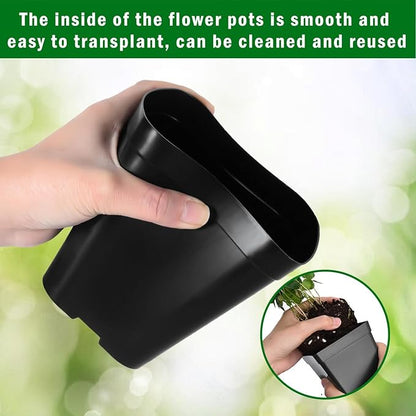 June Fox Plastic Seedling Pots, 60 Pack Square Nursery Pots 4 Inch, Small Plant Pots with Drainage Holes for Seedlings, Succulents, Cuttings (Black)