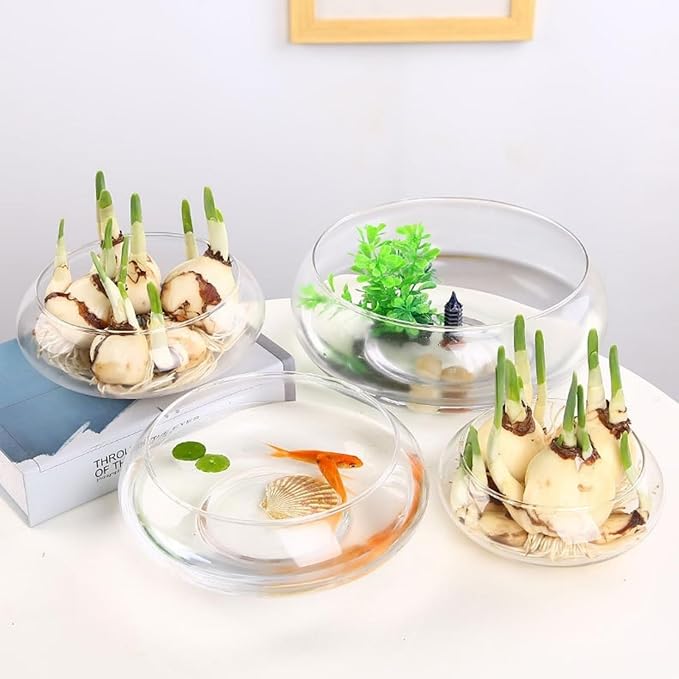 Lotus Bowl Planter, Glass Lotus Flower Bowl, Lotus Bowls For Planting In Water Indoors, Suitable to Succulent Plants Flower Hydroponic Plant Without Bracket