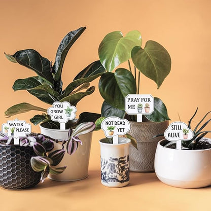 arricraft 15 Pcs Funny Phrases Plant Labels, 15 Styles Acrylic Succulent Cactus Pattern Potted Plant Markers for Indoor Outdoor Seed Patio Supplies 10.2x6.8cm(4x2.68inch)