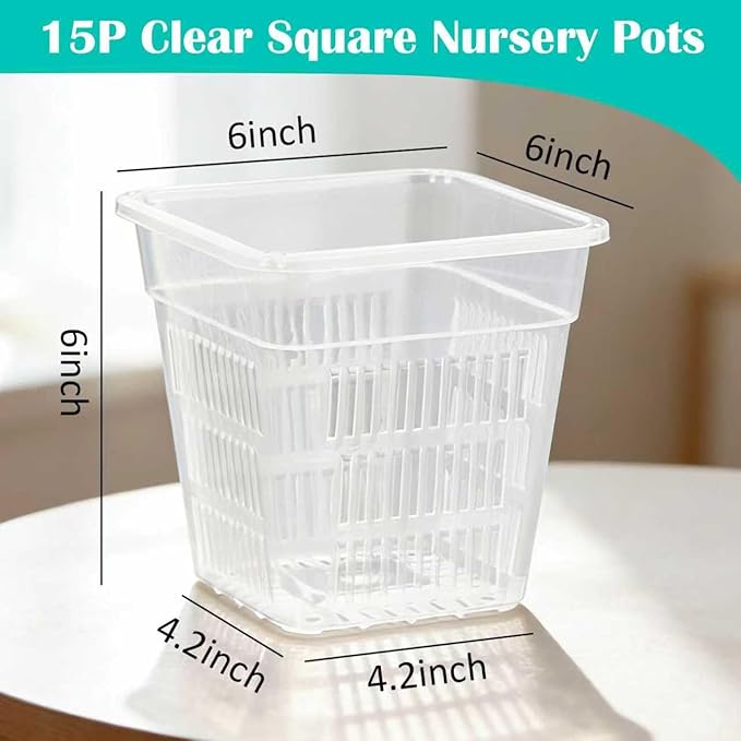 BTPLASTIK Clear Square Nursery Pots, 15 Packs 6 Inch Air Pruning Square Pots, Transparent Plastic Plant Pots for Seed Starting, Root Cutting