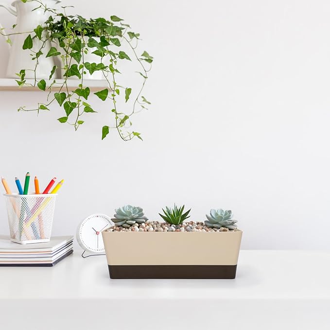 SUREAM 3 Pack Indoor Window Box Planter, 12x3.8 Inch Rectangle Herb Planter with Tray, Modern Small Succulent Cactus Flower Plastic Plant Pot for Window Sill, Garden Balcony, Office Shelf Decoration