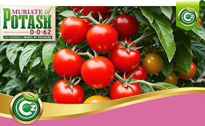 Muriate of Potash 0-0-62 Fertilizer Made in USA - MOP Potassium Plant Food for Indoor/Outdoor Plants, Flower Gardens, Fruit and Vegetable Gardens, Holistic Herbs, Trees and Green Lawns!