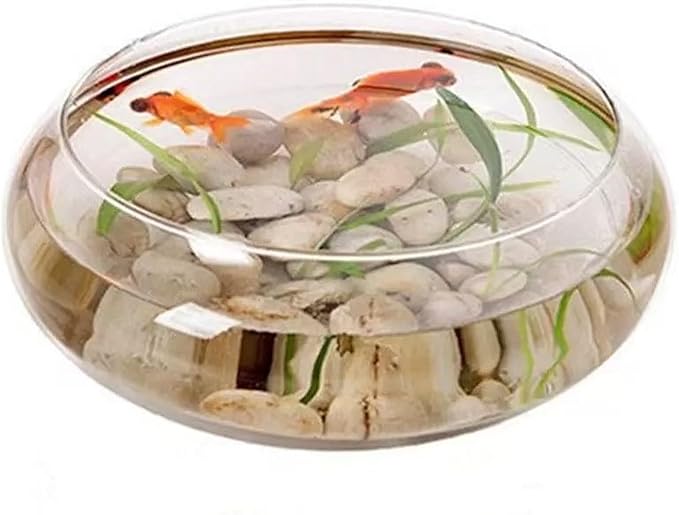 1 PCS Large Lotus Bowl Planter Round Lotus Bowl Glass Lotus Flower Bowl Lotus Bowls for Planting in Water Indoors Applicable to Bonsai Bowl Lotus Flower Hydroponic Plant Home Decor (9.8IN)