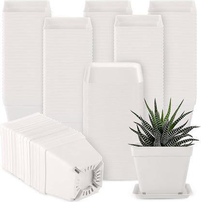 Amyhill 4 Inch Flower Pots Square Plants Nursery Pot Plastic Plant Seedling Pots Nursery Transplanting Planter Container with Saucer for Indoor Herbs Succulent Balcony Garden(White,100 Pcs)