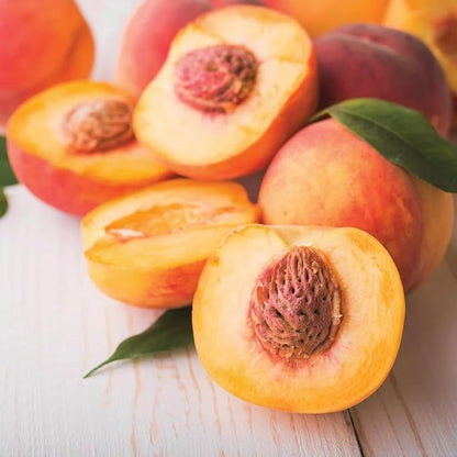 Peach Tree Seeds 5pcs – Sweet Juicy Fruit Variety – Non-GMO Hardy, Fast-Growing Fruit Tree for Home Gardens, Orchards & Pots