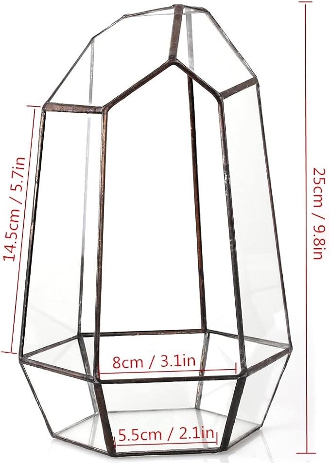 NCYP Geometric Glass Terrarium Planter for Succulent, Small Cacti, Black Irregular Opened Container Pot, Indoor Home Garden Office Tabletop Decor, 6.5" x 5.7" x 9.8" (No Plants, No Door)