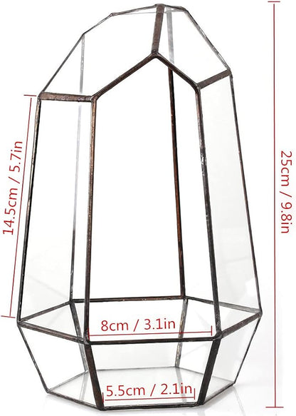NCYP Geometric Glass Terrarium Planter for Succulent, Small Cacti, Black Irregular Opened Container Pot, Indoor Home Garden Office Tabletop Decor, 6.5" x 5.7" x 9.8" (No Plants, No Door)