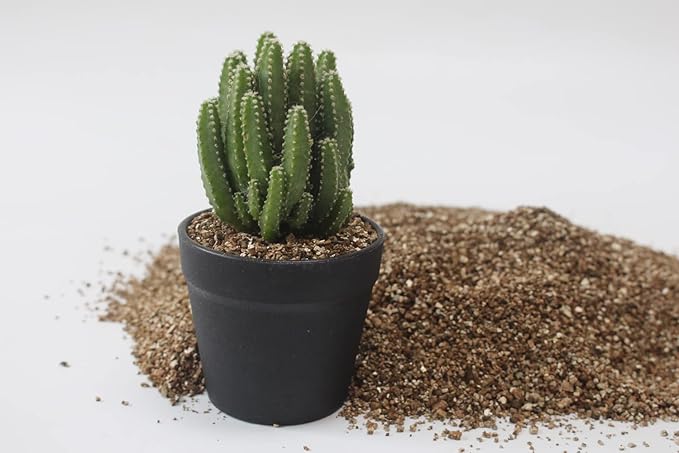 5QT Organic Vermiculite for Plants, Soil for Potted Plants, Coarse Hydroponic for Succulent Orchid Gardening Reptiles
