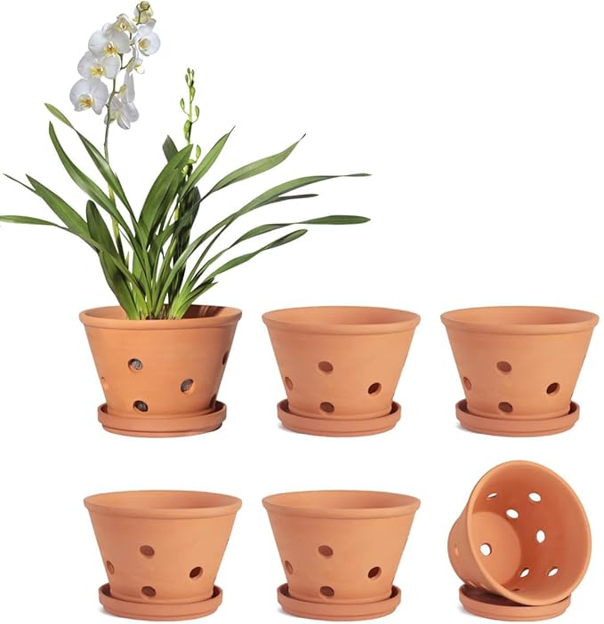 vensovo 4 Inch Terracotta Orchid Pots with Holes and Saucers - 6 Pcs Small Clay Planters for Repotting, Terra Cotta Pot for Plants Indoor and Outdoor Promotes Air Circulation