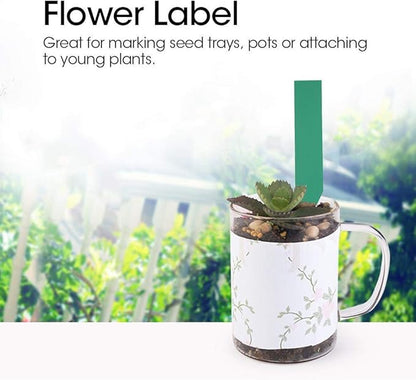 100Pcs Plant Labels Reusable Plastic PVC Stakes Tags Nursery Garden Pot Marker for Plants Indentification (4 x 0.8Inch Green)