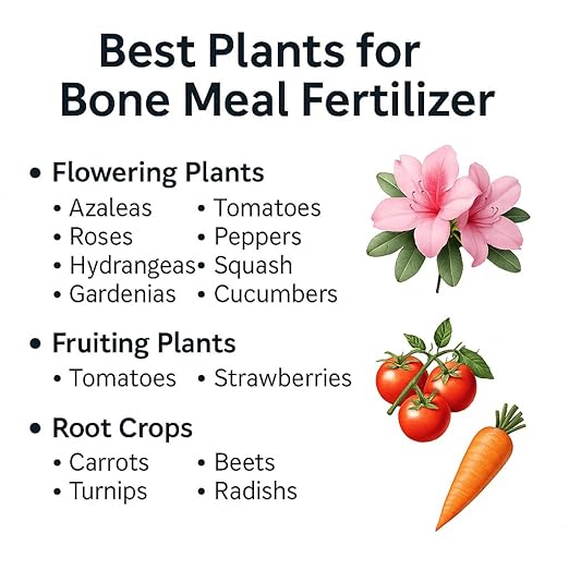 𝐁𝐄𝐒𝐓𝐒𝐄𝐋𝐋𝐄𝐑 Organic Bone Meal Fertilizer by Gardenera (4-12-0 NPK) All-Natural Plant Food Source of Nitrogen and Phosphorus for Bulbs, Gardens, Potted Plants, Trees, and Shrubs - 4 QUARTS