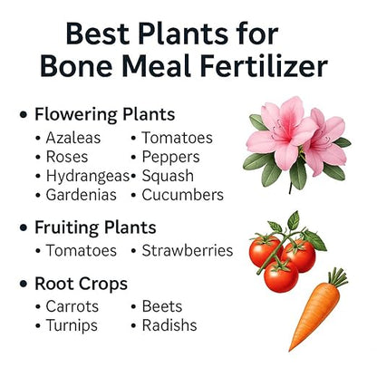 𝐁𝐄𝐒𝐓𝐒𝐄𝐋𝐋𝐄𝐑 Organic Bone Meal Fertilizer by Gardenera (4-12-0 NPK) All-Natural Plant Food Source of Nitrogen and Phosphorus for Bulbs, Gardens, Potted Plants, Trees, and Shrubs - 10 QUARTS