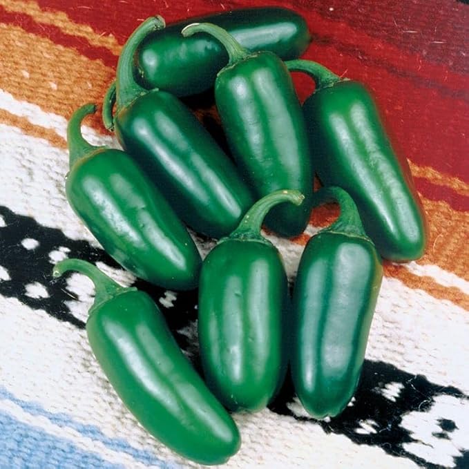 Park Seed Early Jalapeño Organic Pepper Seeds – Pack of 500 Seeds, 65 Days to Maturity, Cone-Shaped Dark Green Fruit, High Yield, Perfect for Mexican Dishes and Salsas